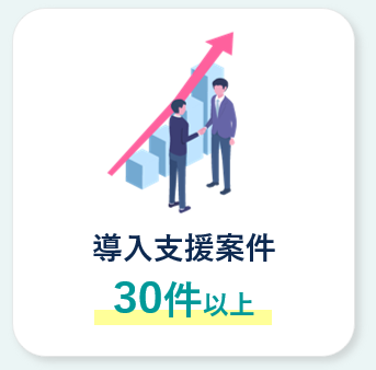 導入支援案件 30件以上